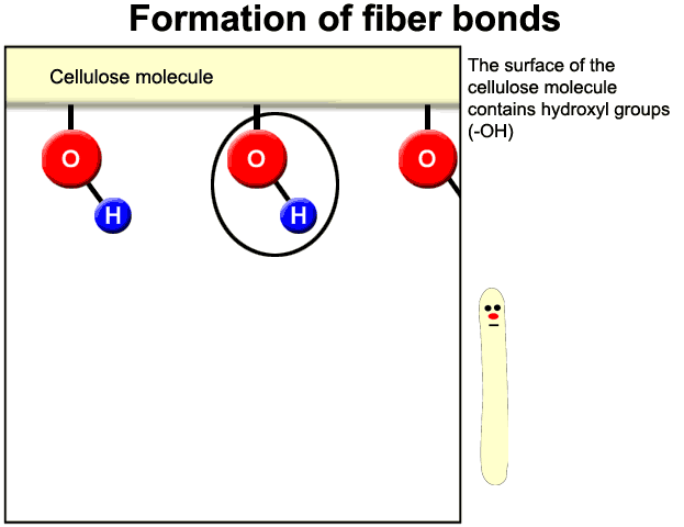 Formation of fiber bonds (HUT)