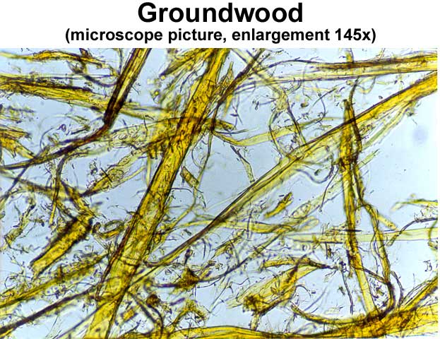 Groundwood pulp (microscope picture, enlargement 145x)(VTT)