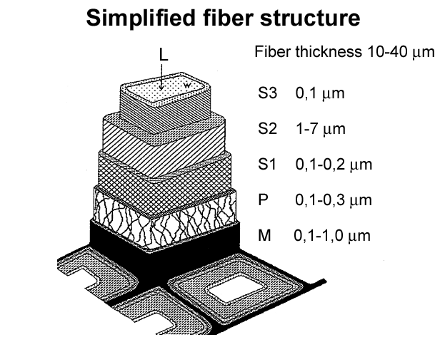 Simplified fiber structure (Valmet)