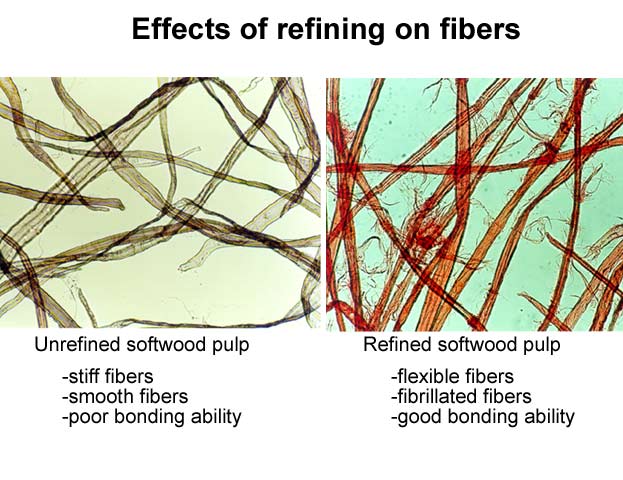 Effects of refining on fibers (VTT, Aalto University School of Chemical Technology)