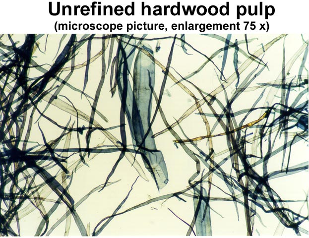 Unrefined hardwood (birch) pulp (VTT)