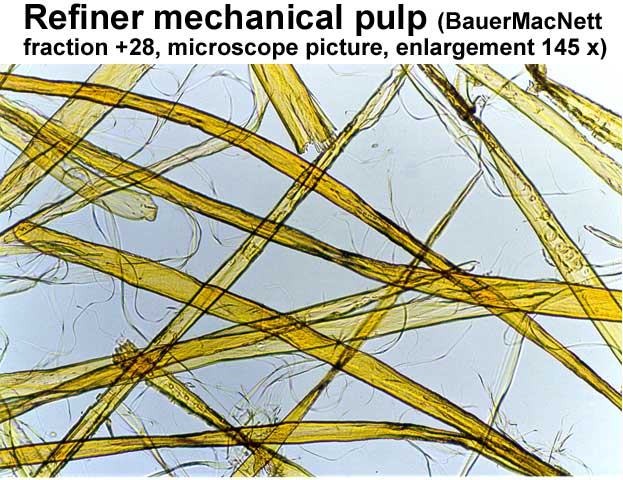 Refiner mechanical pulp (BauerMcNett fraction +28, microscope picture, enlargement 145 x) (VTT)