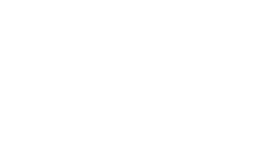 Finishing (Valmet)